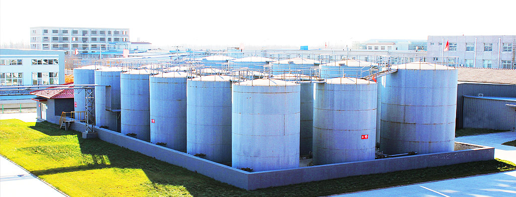 尊龙凯时人生就是搏  